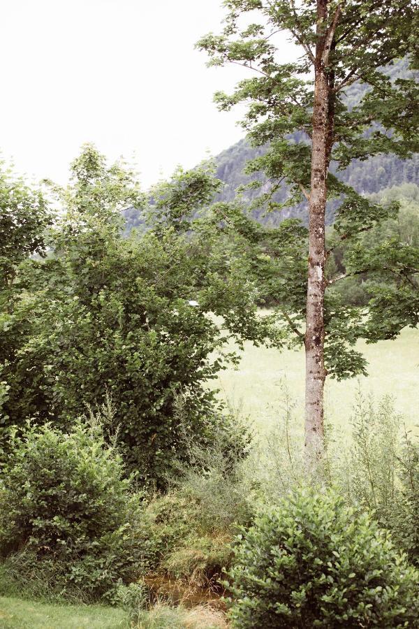 Bachbett - Modernes Gaestehaus Im Salzkammergut Bad Ischl Bagian luar foto